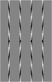 Оптическая иллюзия 1