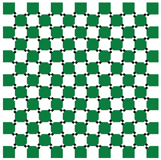 Оптическая иллюзия 10