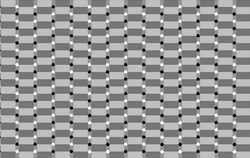 Оптическая иллюзия 6
